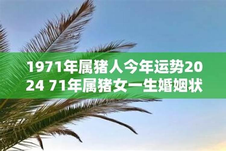 71年属猪女人一生的命运婚姻