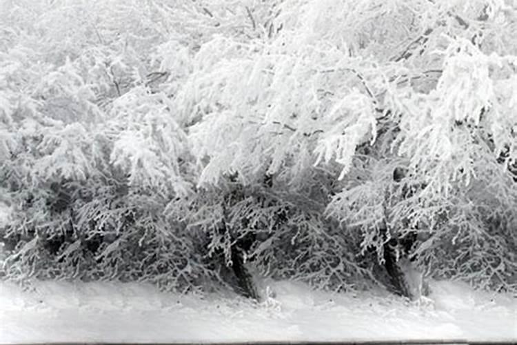 梦见下雪吉凶