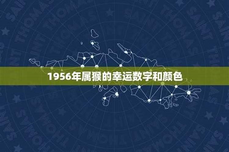 属猴1956年丙申年的颜色