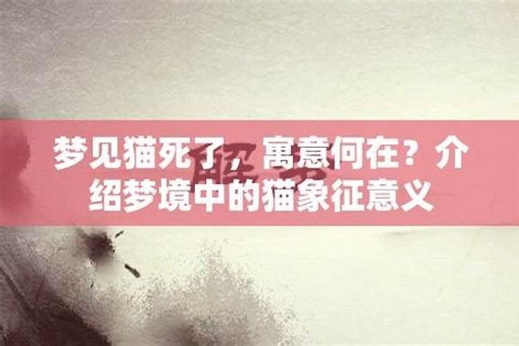 梦见猫死了什么寓意