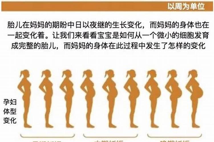 打过胎的女人的特征