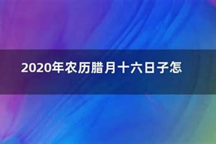 龙人5月运势如何