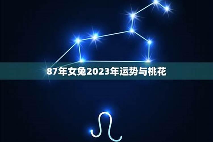 87兔女2022桃花运