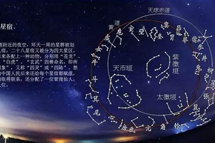 八字排盘看星宿准吗