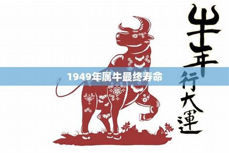 1949年五行属火还是属土