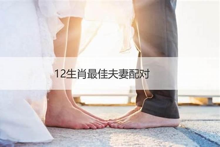 婚烟生肖合于不合