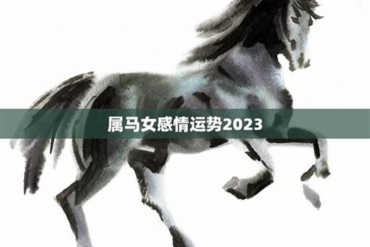 属马感情运势2022