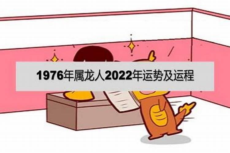 属龙人2022年运势运