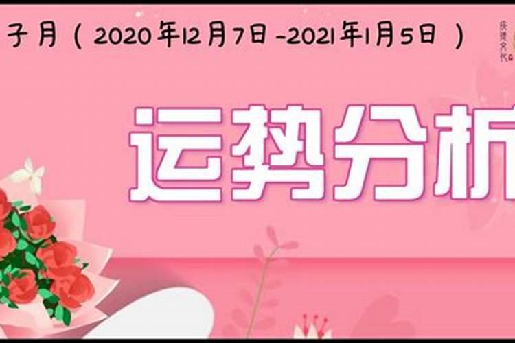 戊子日2021年运势