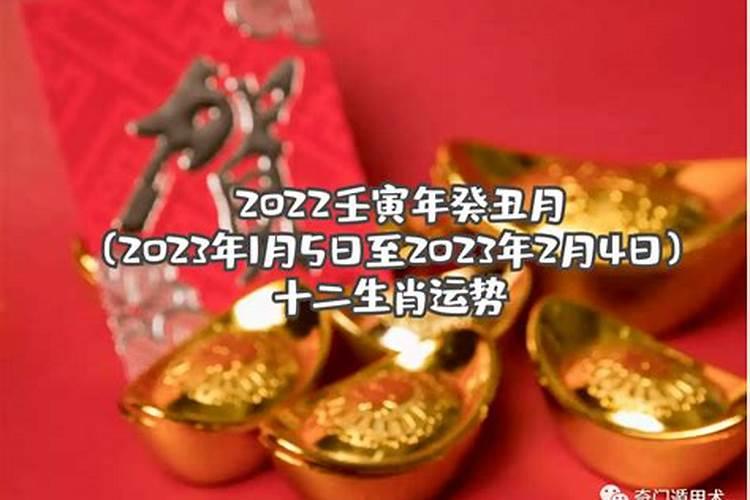 癸丑日2024辛丑年运势