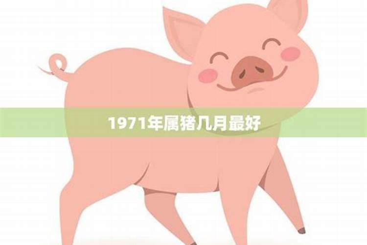 属猪1971今年运势如何