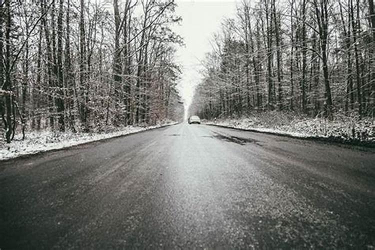 梦见路上雪