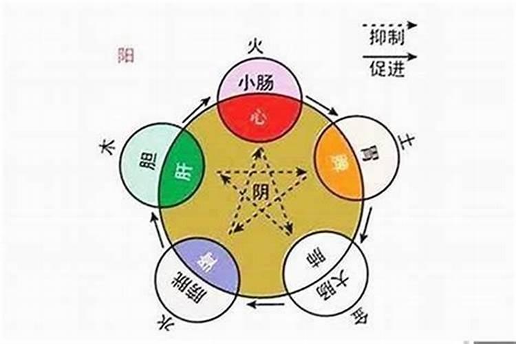 2024年破太岁什么意思