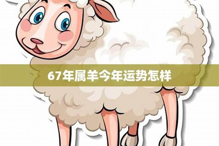 67年属羊男2020年每个月运势