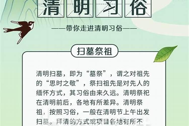 清明祭扫活动简报标题