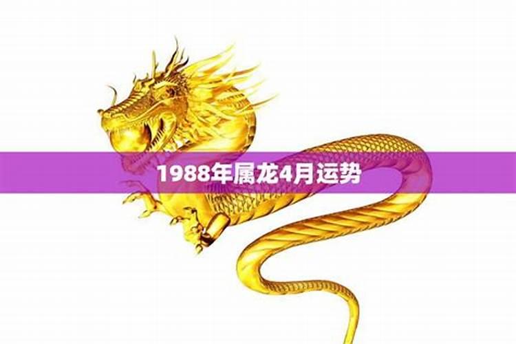 1987属兔女2021年全年运势详解