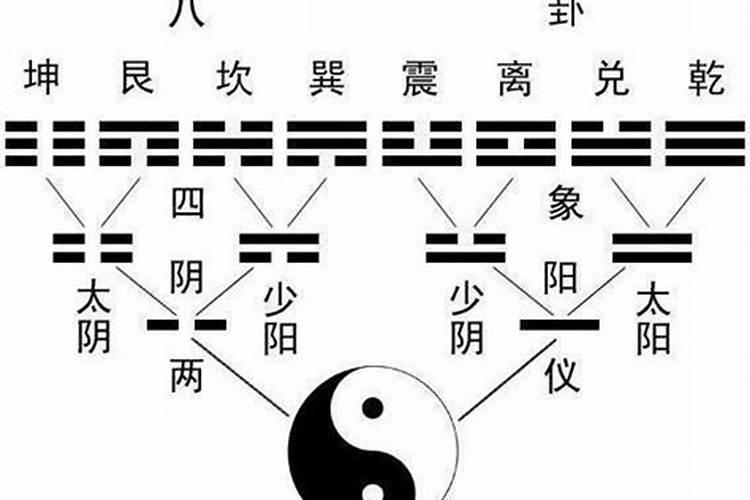 八字里的阴阳是什么