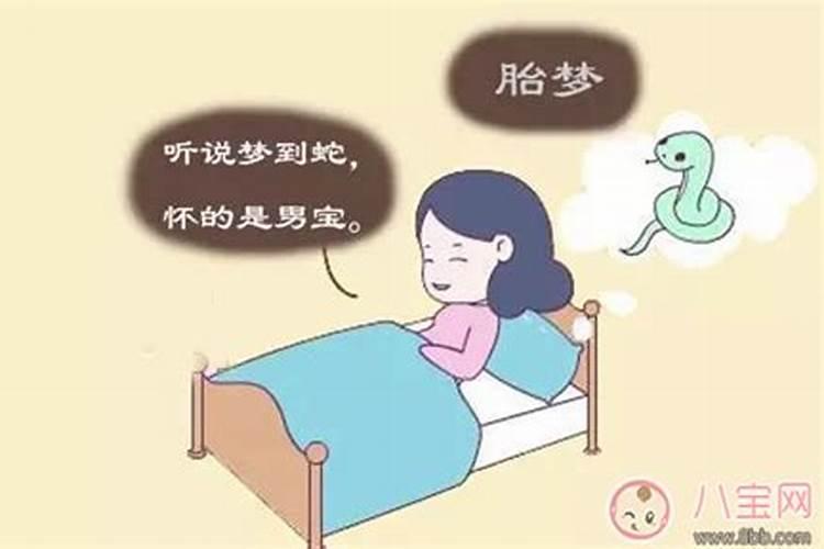 老公经常梦到蛇是男孩吗