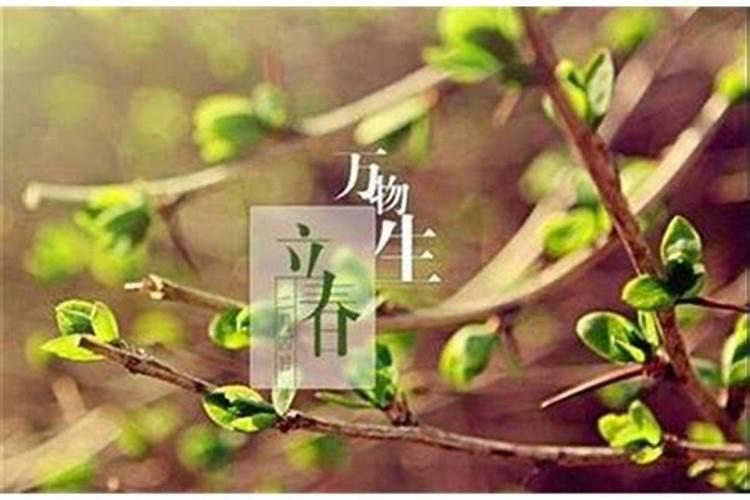 立春是几月几号几点钟2021年春节