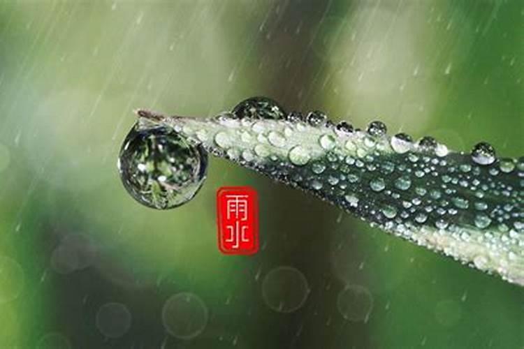 梦见天上下了好大的雨水