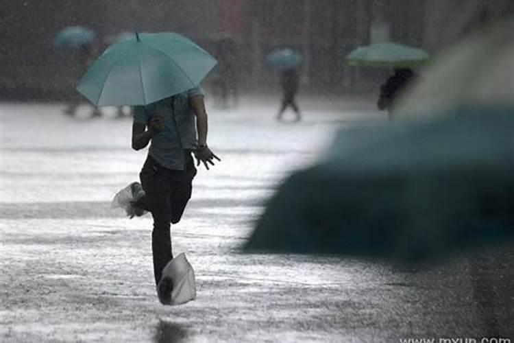 梦见大雨淋到自己