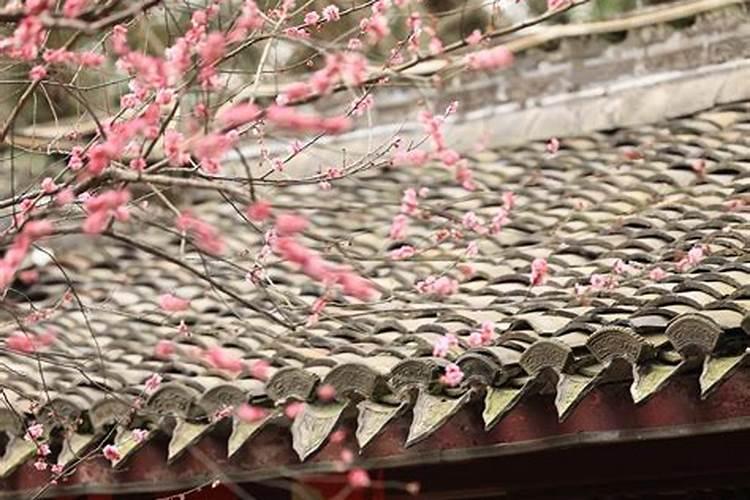 宁波人中元节祭祀吗