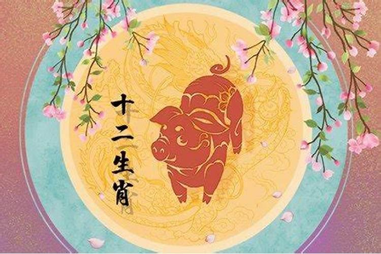 属相猪今年多大年龄