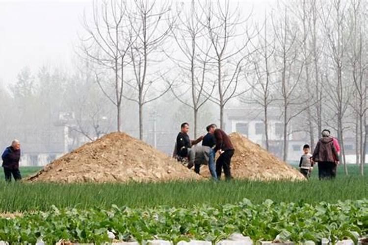 清明节上坟填土哪个方位取土好