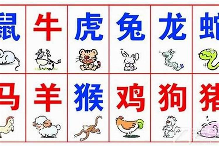 生肖不和八字不合