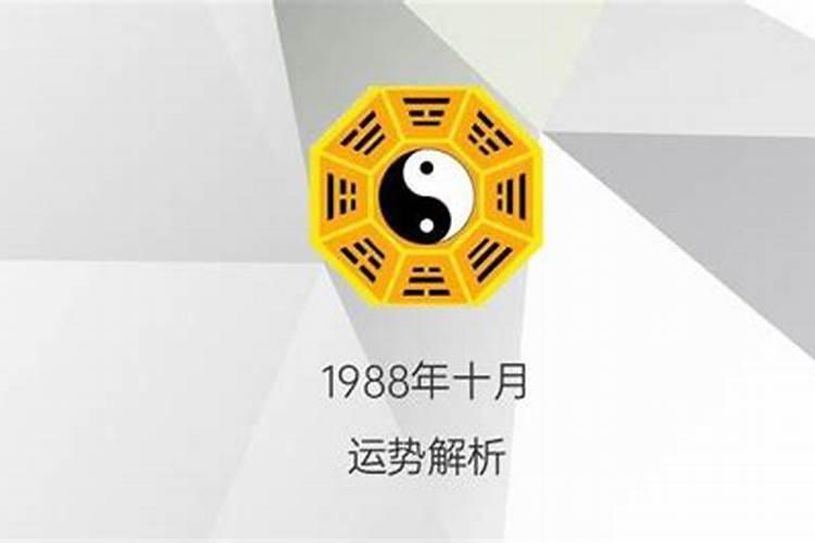 1981年属鸡人在2024年运势如何