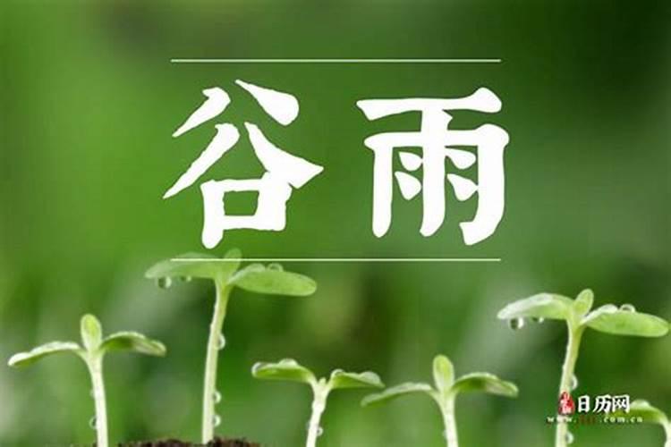 清明节后还有哪些节