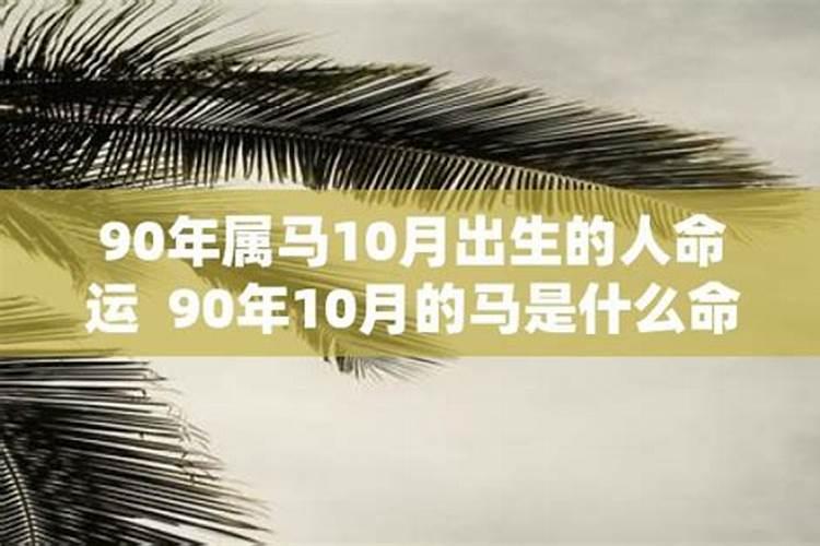 90年属马10月出生的人命运