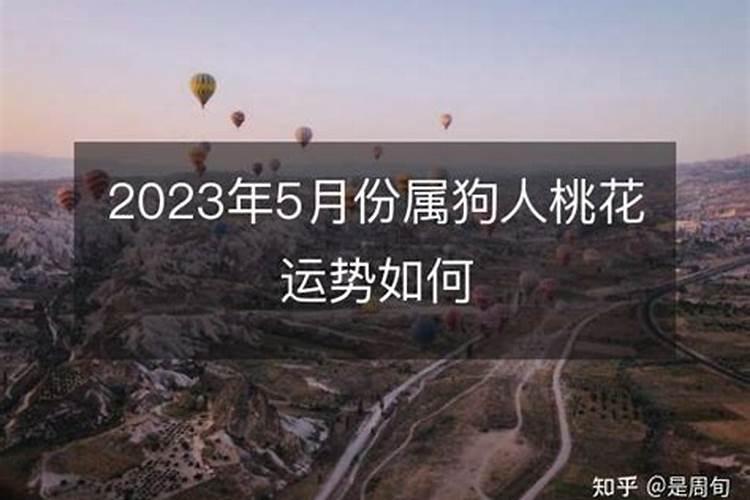 2023属狗桃花运势如何呢