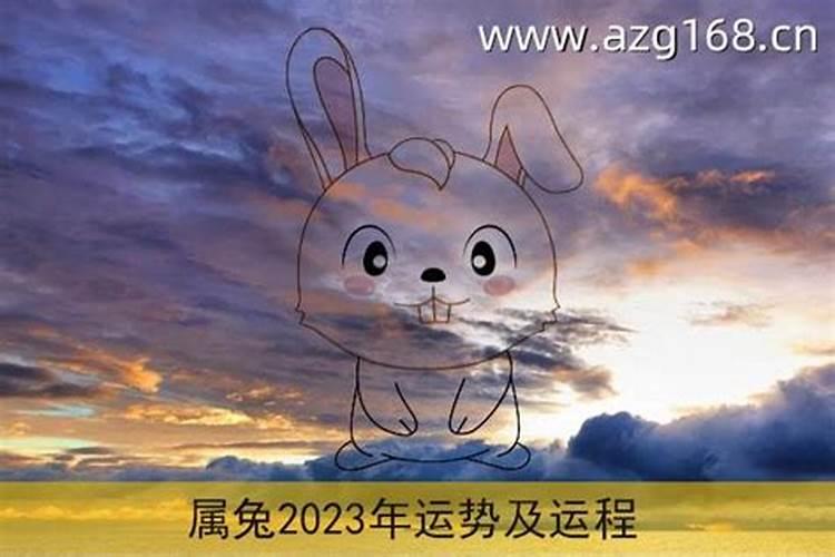 88年龙2023年运势如何