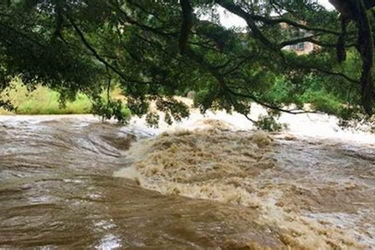 梦见河水涨大水了