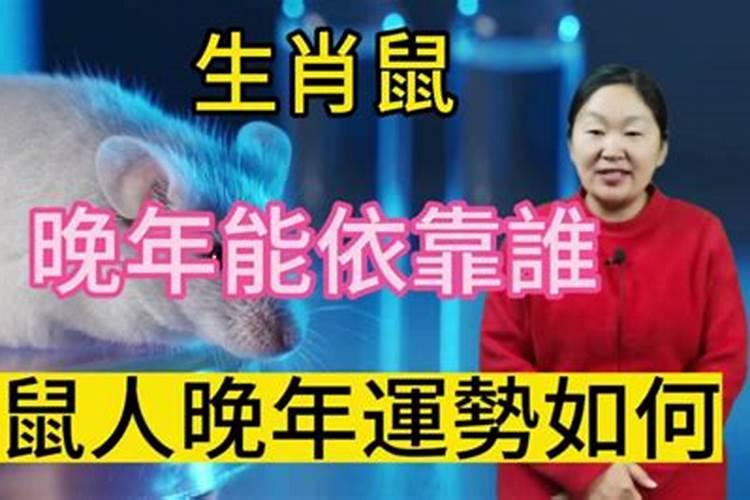 生肖属鼠人七月份的运势如何