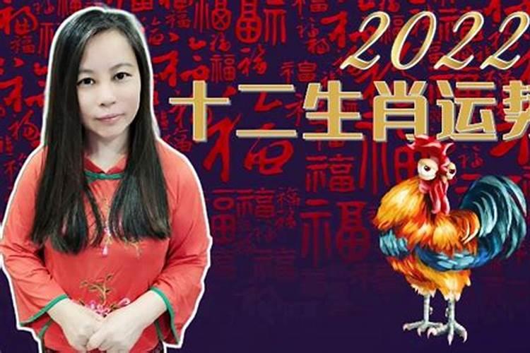 属蛇今年的运势属兔的运势如何