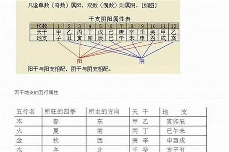 算命中日柱是什么意思