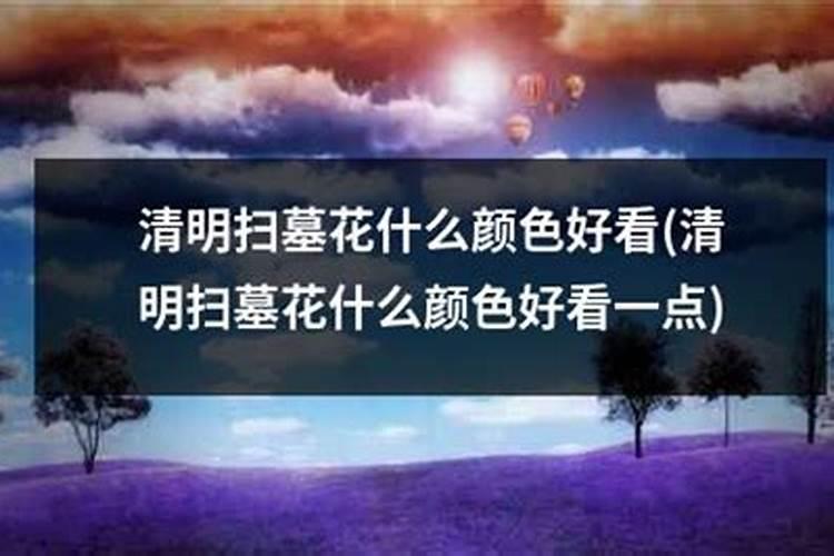 清明扫墓什么花好