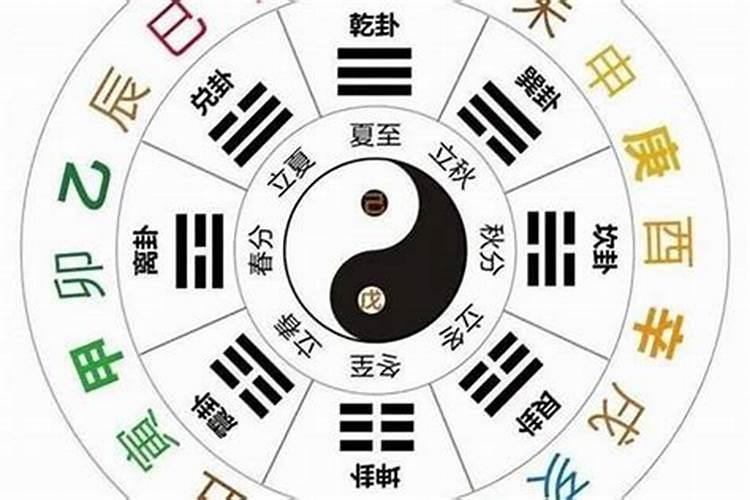 合婚主要看天干还是地支好