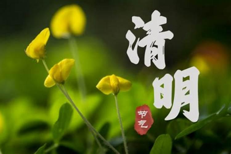 清明节为什么要添坟