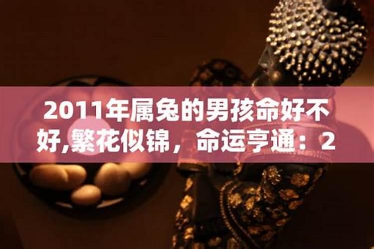 2011年属兔的男孩命好不好