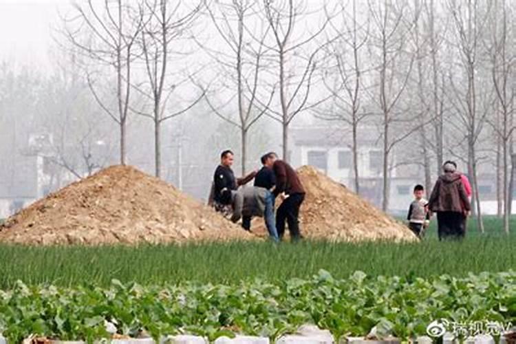 今年清明坟上填土什么方向