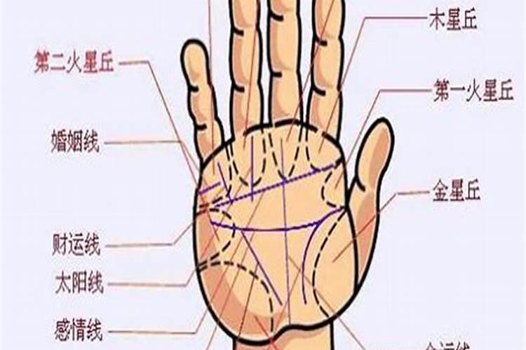 老风水师手上都起大钱