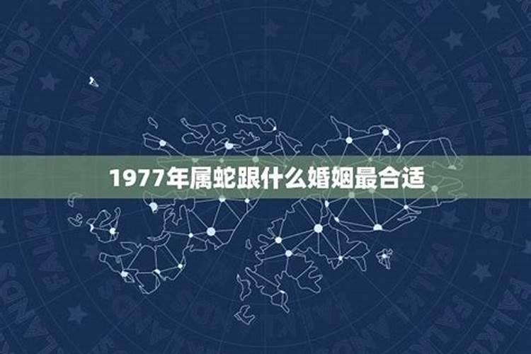 1977年属蛇人婚姻