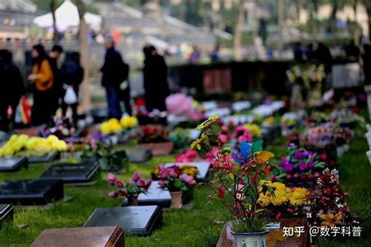 重阳节有没有祭祀扫墓