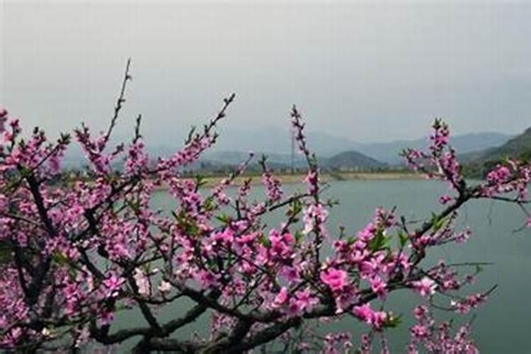 九华山犯太岁去哪里