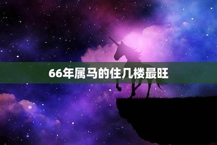 66年的属马的适合住几楼