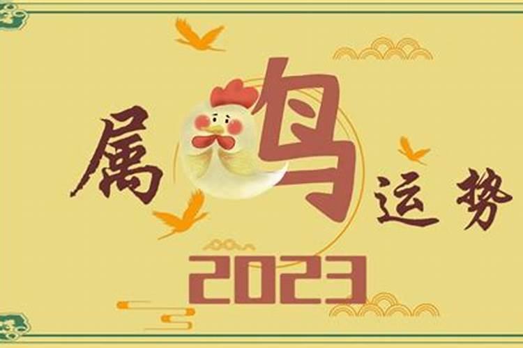 猪年属鸡运势2023年运程