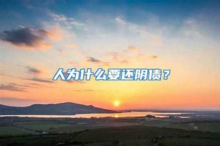 测八字2024年运程